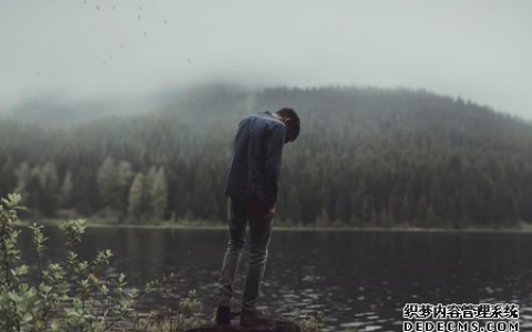 测你最近的迷糊指数