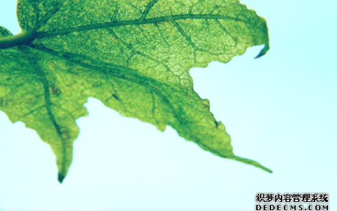 测你六月的财运如何