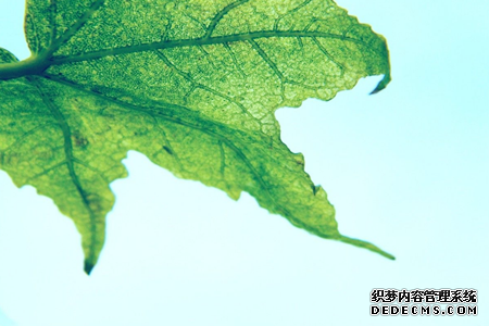 测你六月的财运如何