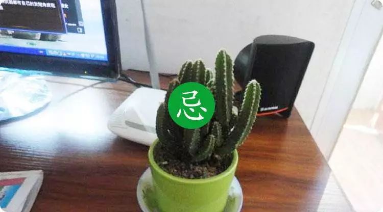 职场风水支招：办公座位居然藏着升职加薪秘诀