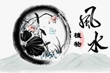 客厅摆放什么植物最好 美化环境又增强财运