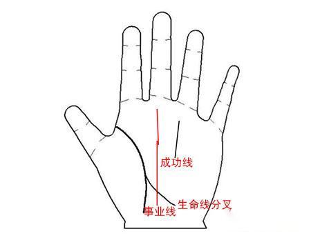 金三银四跳槽季，快来从事业线看你是否适合换工作！