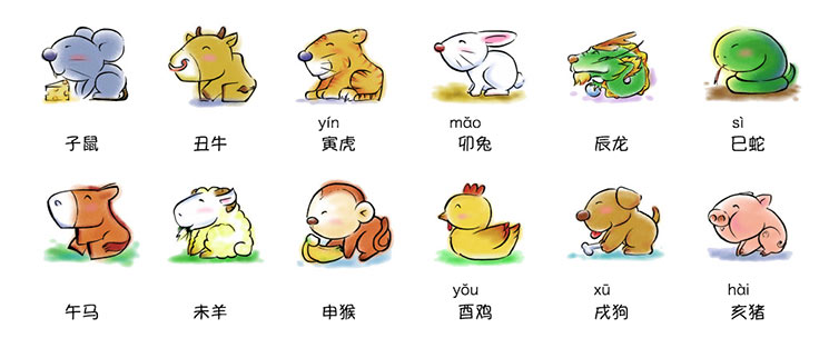 12生肖排行顺序和年份对照表！