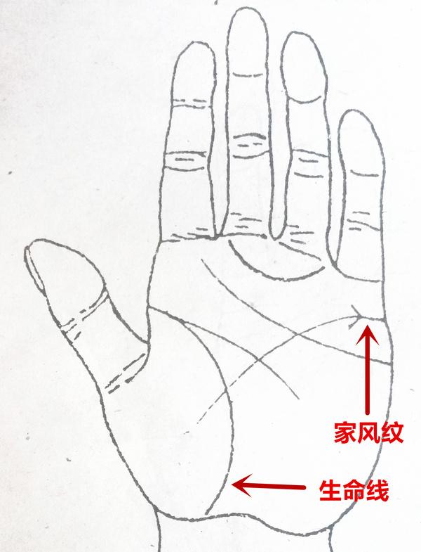 凤尾纹一定会离婚吗？手相中有凤尾纹必定离婚！