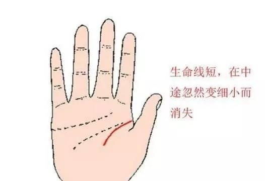 手相生命线和寿命有关吗？看你能活多少岁！