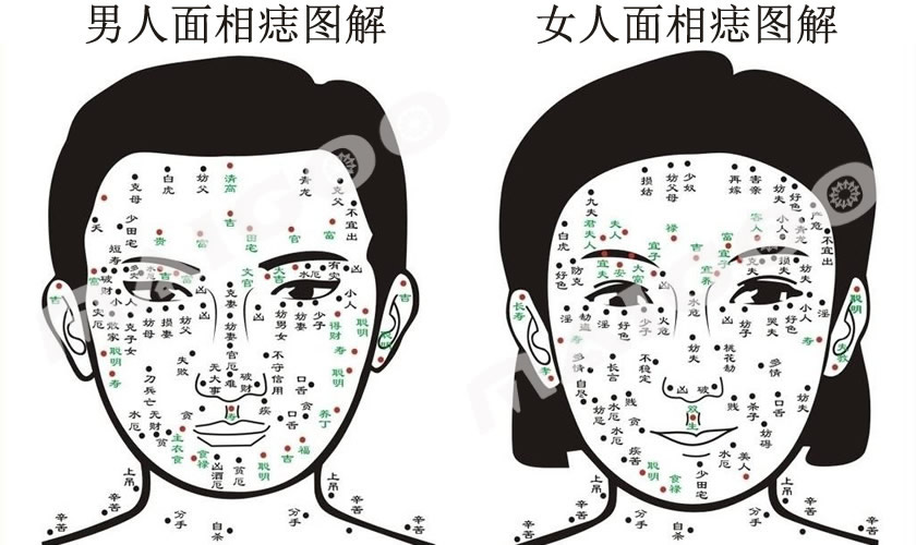 面相学痣图解算命大全