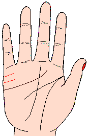 手相图解之婚姻线篇：婚姻线能看出婚姻情况吗？