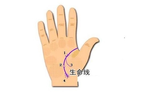 手相算命到底准不准？科学都无法解释！