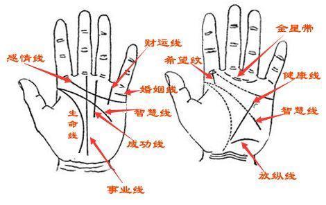 从事业线能看出一个人的前途好不好吗?教你快速看懂手相！