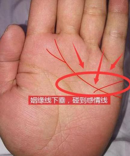 手相感情线分叉，分小叉有小矛盾，分大叉婚姻不顺！