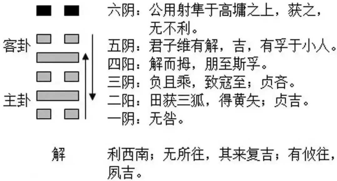 2023年10月5日十二生肖运势揭秘来啦