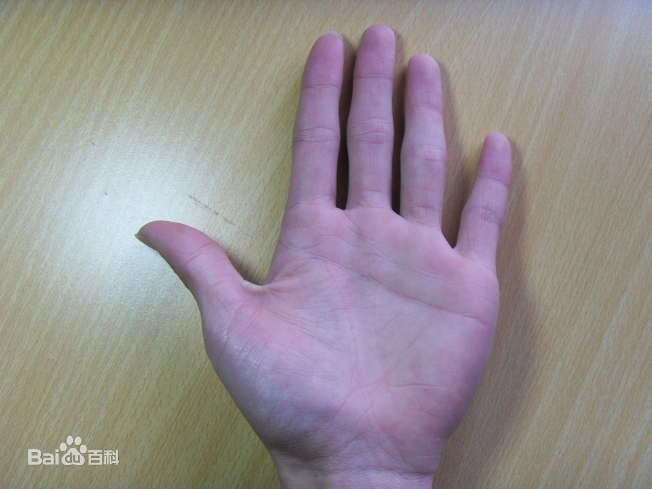 断掌纹的女人手相分析，有断掌纹的人会克夫吗？