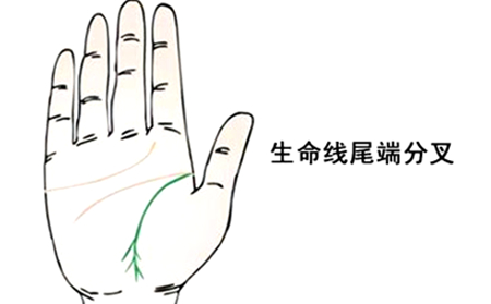 早死的手相图解：手相专家为您详细分析6种早死的手相。