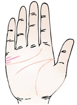 手相婚姻线能看出夫妻感情好坏吗？婚姻线详细图解给您答案！