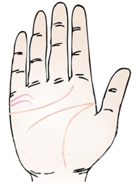 手相婚姻线能看出夫妻感情好坏吗？婚姻线详细图解给您答案！