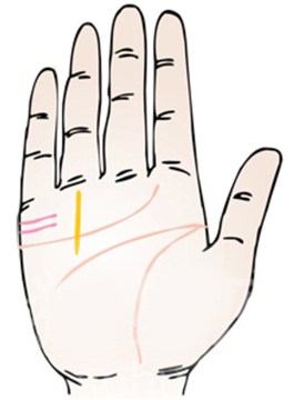 手相婚姻线能看出夫妻感情好坏吗？婚姻线详细图解给您答案！