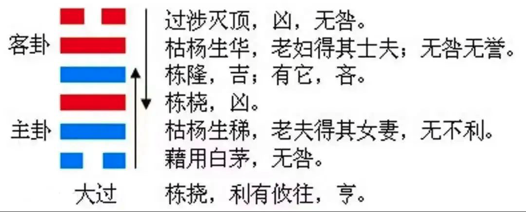 2023年10月15日十二生肖运势揭秘来啦