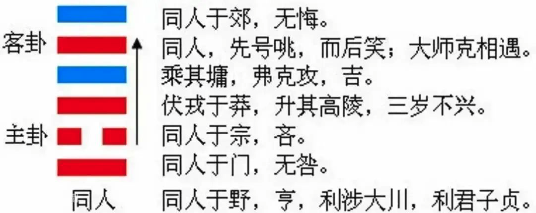 2023年10月11日十二生肖运势揭秘来啦