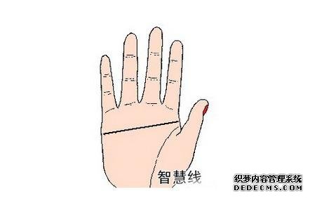 女人断掌手相图解，女人断掌手相会怎么样？-面