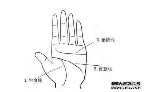女人断掌手相图解，女人断掌手相会怎么样？-面