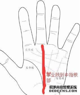 四十岁后步入事业坦途的男子手相