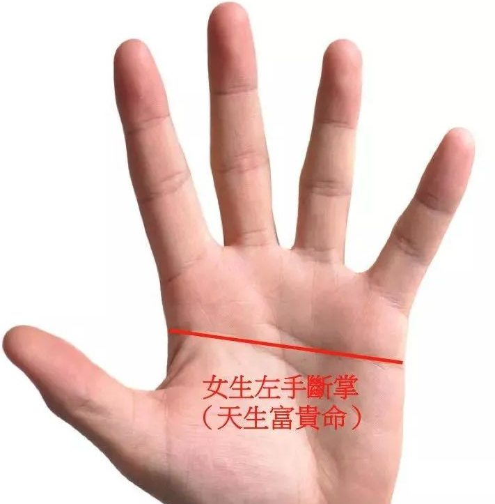 发现女性手相的瑰宝：你是否拥有最富贵的手相特质？
