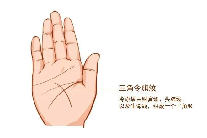 发现女性手相的瑰宝：你是否拥有最富贵的手相特质？