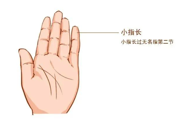 发现女性手相的瑰宝：你是否拥有最富贵的手相特质？