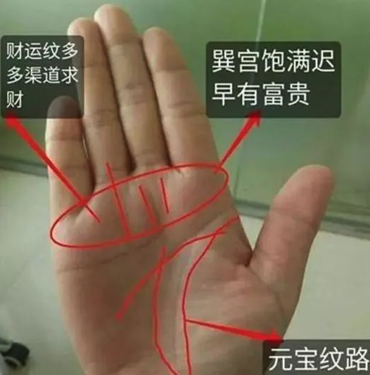 发现女性手相的瑰宝：你是否拥有最富贵的手相特质？