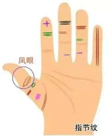 发现女性手相的瑰宝：你是否拥有最富贵的手相特质？