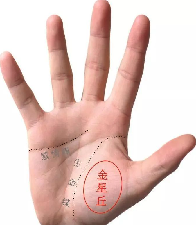 发现女性手相的瑰宝：你是否拥有最富贵的手相特质？