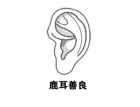 10种耳朵类型看懂你的性格及财运！