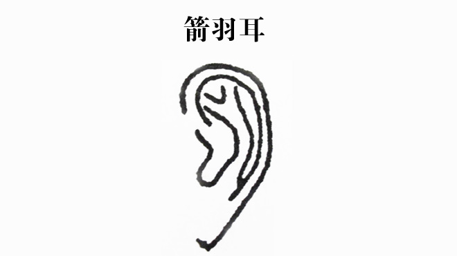 10种耳朵类型看懂你的性格及财运！