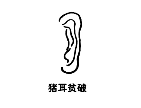 10种耳朵类型看懂你的性格及财运！