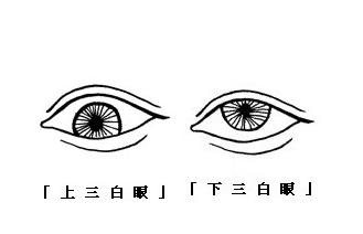 一白眼二白眼三白眼四白眼面相的人命运