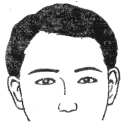 28种眉毛类型图文详细分析