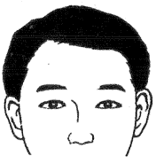 28种眉毛类型图文详细分析