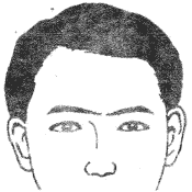 28种眉毛类型图文详细分析
