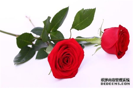 测你是一个矫情的人吗