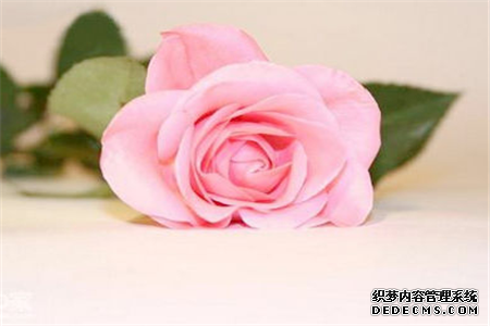 测你是一个矫情的人吗
