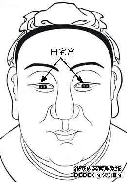 麻衣神相学习_面相学习_面相看法_面相十二宫图解