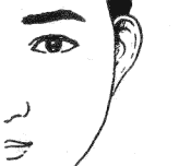 耳朵面相图解大全，十六种耳朵面相图文分析！