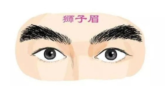 财运旺不旺，看你的眉毛就知道