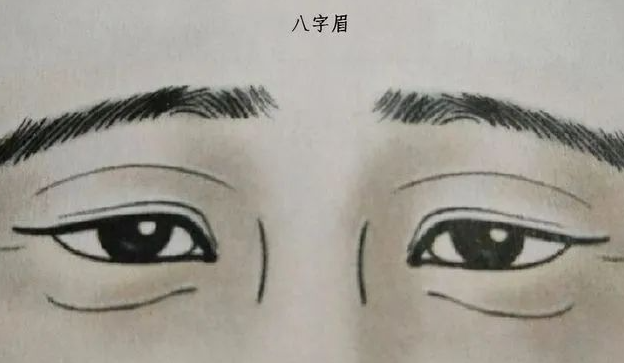 财运旺不旺，看你的眉毛就知道