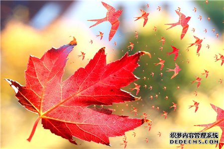 测你老了以后是否会遭人嫌弃