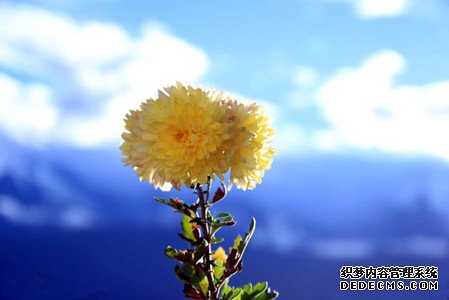 测你的人生会是一出狗血剧吗