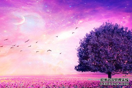 测你的人生会是一出狗血剧吗