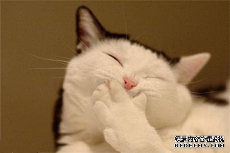 测试你到底有多嘴贱
