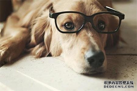 测试你到底有多嘴贱