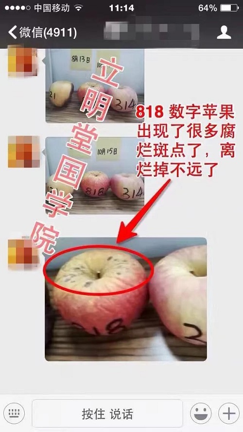 数字能量磁场有多么神奇？简单的水果实验告诉你！